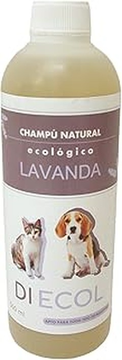 ** Soluciones Efectivas si los Champús Ecológicos No Funcionan