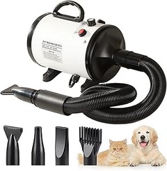 Mejores Alternativas a los Secadores de Perros Grandes
