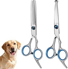 Mejores alternativas a las tijeras de esculpir para el grooming de mascotas