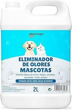 ¿Por qué elegir limpiadores sin agua para tus mascotas?
