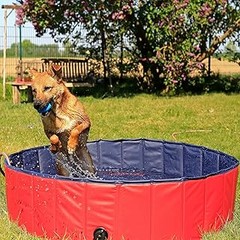 Descubre las características destacadas de las bañeras plegables para mascotas