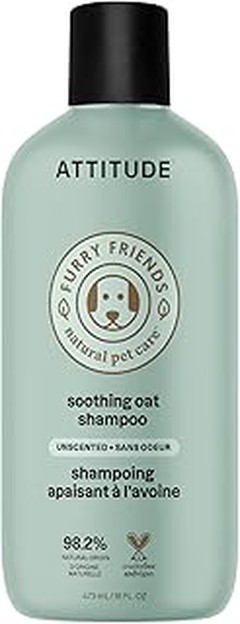 Método correcto para bañar a tu mascota con champú sin perfume