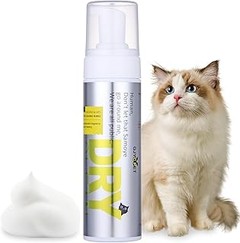 Guía para elegir el champú en seco ideal para gatos según su edad