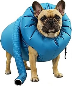 Guía para elegir el secador portátil ideal para tus mascotas