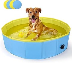 Cómo Bañar a tu Mascota en una Bañera Rígida: Consejos Efectivos
