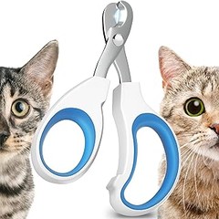 Descubre Cuándo Debes Cortar las Uñas de tu Mascota