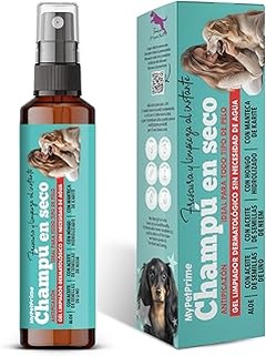 ¿Qué son los champús antiolor para mascotas y cómo funcionan?