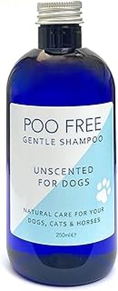 Evita estos errores al usar champús sin perfume para mascotas