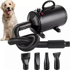 ** ¿Por qué tu mascota se asusta con el secador y cómo solucionarlo?
