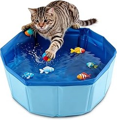 Soluciona los problemas más comunes al usar bañeras para gatos
