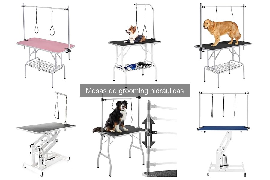 Accesorios Esenciales para Mesas de Grooming Hidráulicas