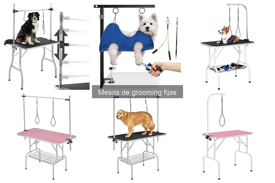 Accesorios imprescindibles para mesas de grooming fijas
