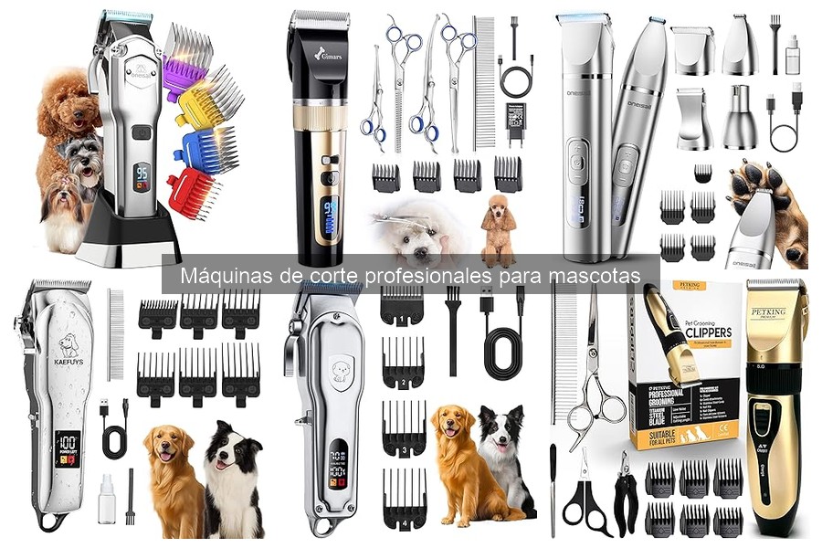 Accesorios indispensables para máquinas de corte profesional