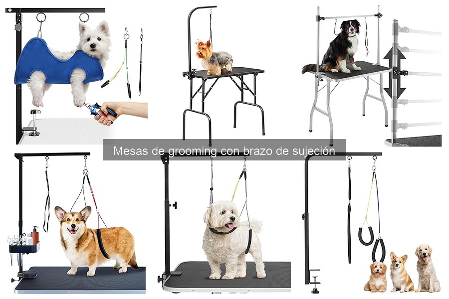 Accesorios Indispensables para Mesas de Grooming
