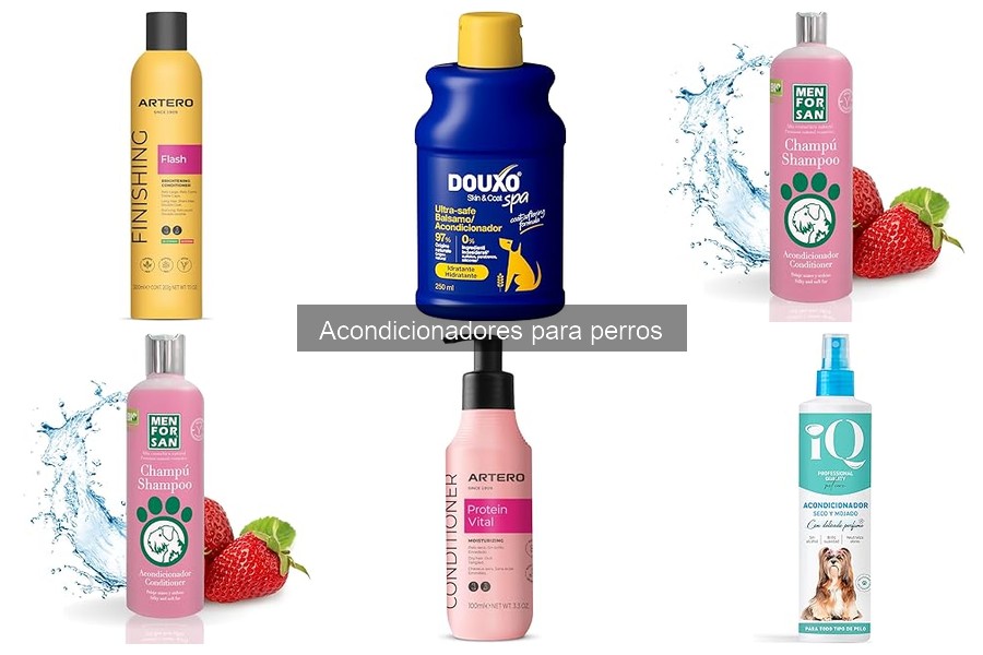 Acondicionadores ecológicos para perros: beneficios y opciones