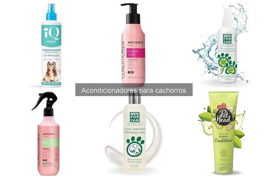 Acondicionadores para cachorros: Opiniones de veterinarios