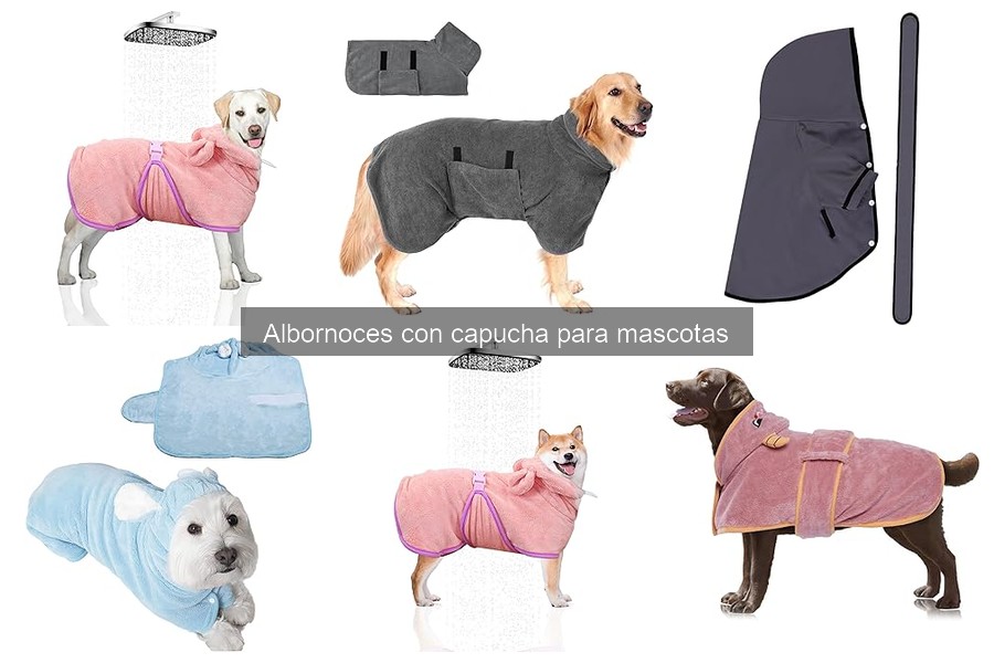 Albornoces con capucha vs. toallas para mascotas: ¿cuál elegir?