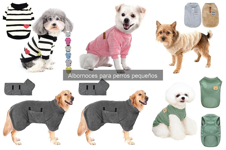 Albornoces para perros pequeños: características especiales y ventajas