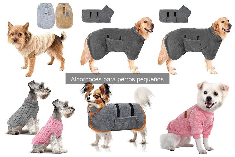 Albornoces para perros pequeños: Salud y bienestar canino