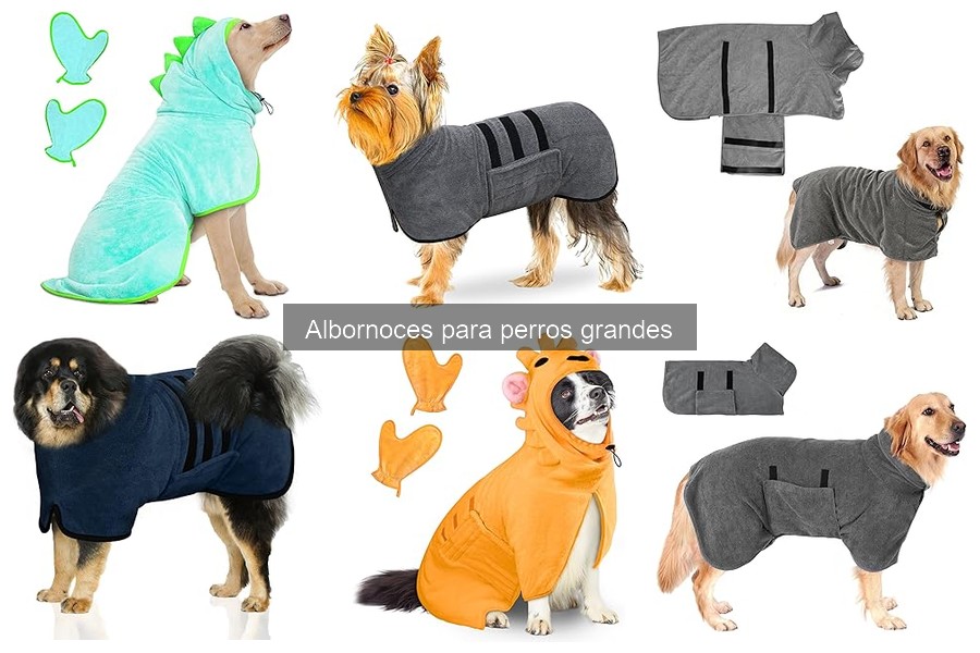 Albornoz para perros grandes: características y beneficios