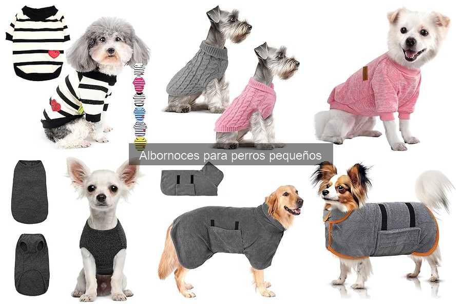 Albornoz para perros pequeños: ¿Qué es y sus características?