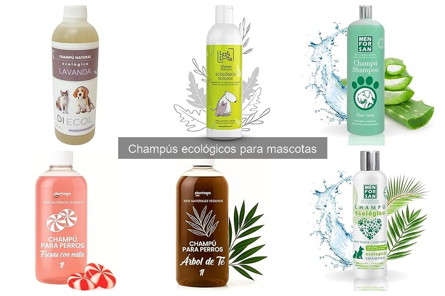 ** Alternativas a Champús Ecológicos para Mascotas