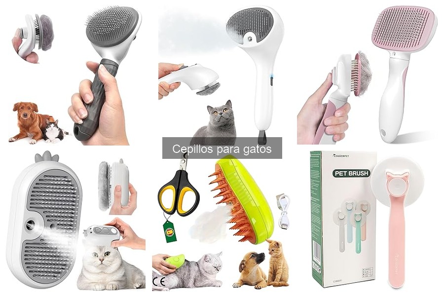 Alternativas a los Cepillos para Gatos: Soluciones Efectivas