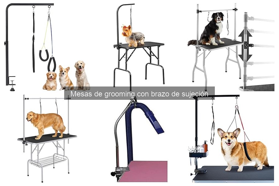 Alternativas a mesas de grooming con brazo de sujeción