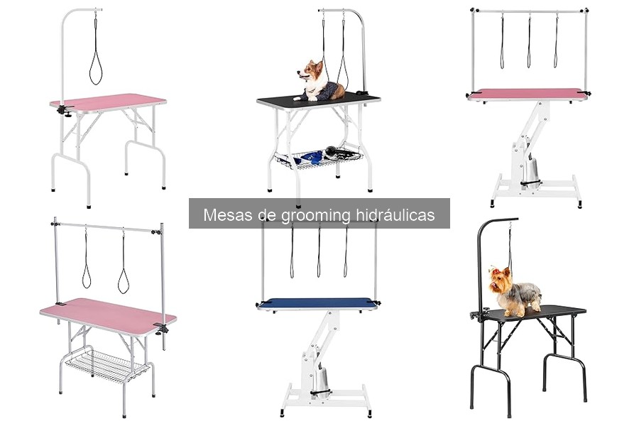 Alternativas a Mesas de Grooming Hidráulicas para Mascotas