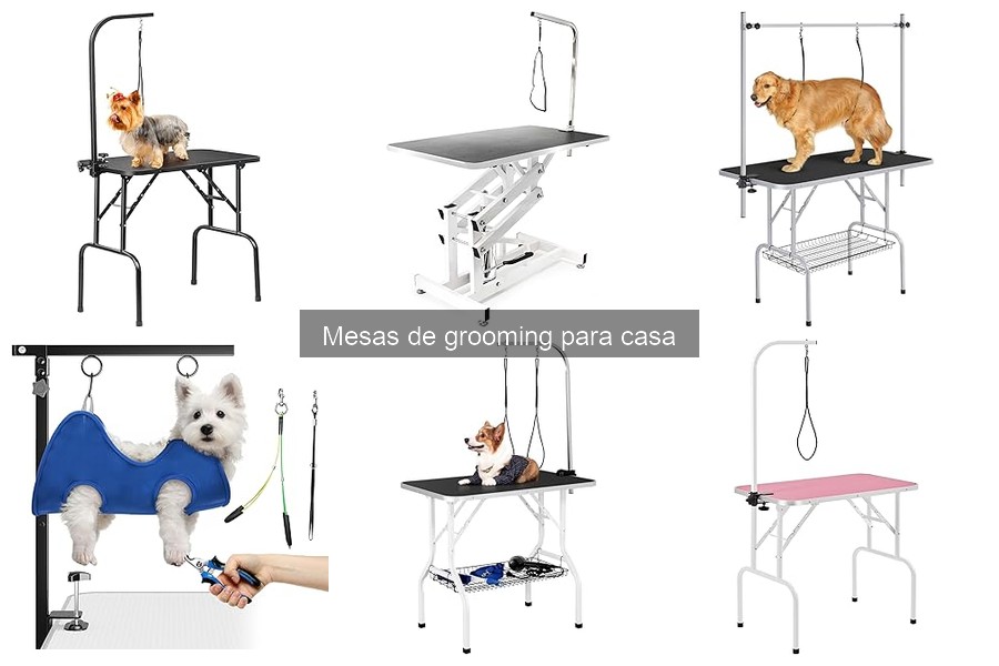 Alternativas a Mesas de Grooming para el Cuidado de Mascotas