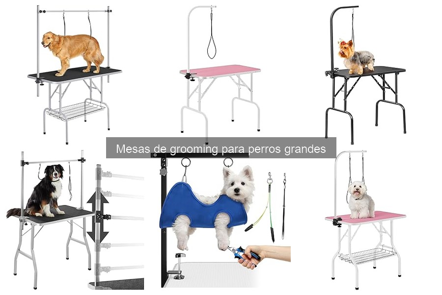 Alternativas a mesas de grooming para perros grandes