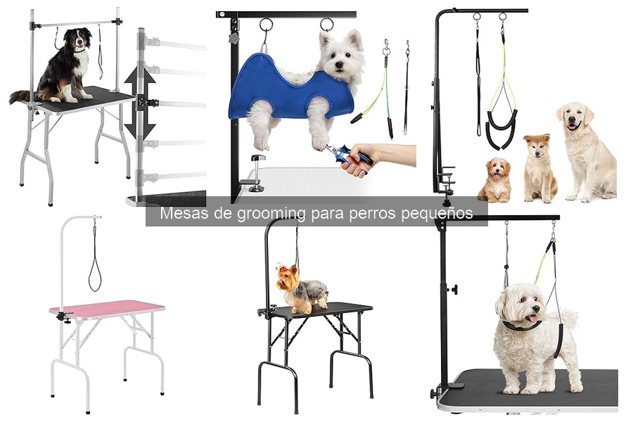 Alternativas a mesas de grooming para perros pequeños