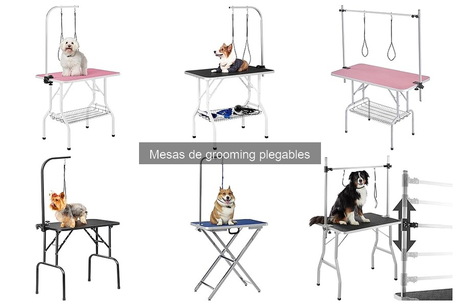 Alternativas a Mesas de Grooming Plegables para Mascotas