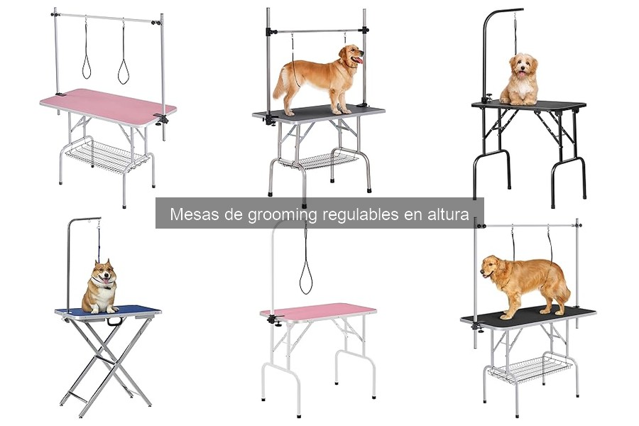 Alternativas a Mesas de Grooming Regulables en Altura