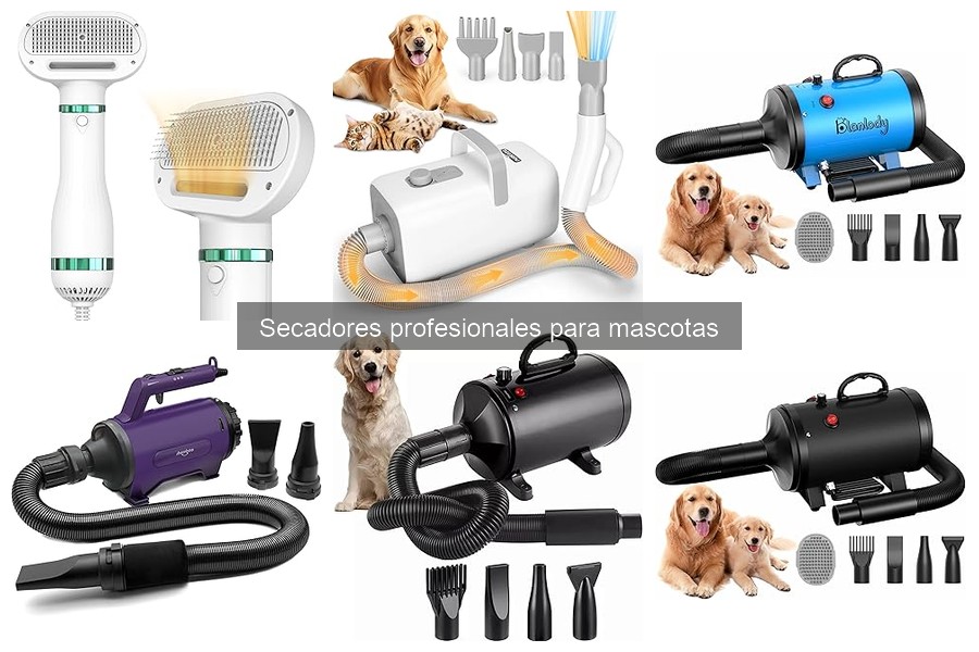 Alternativas a secadores profesionales para mascotas