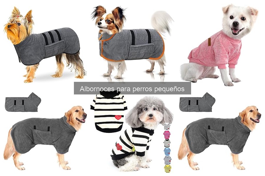 Alternativas al albornoz para perros pequeños: soluciones eficientes