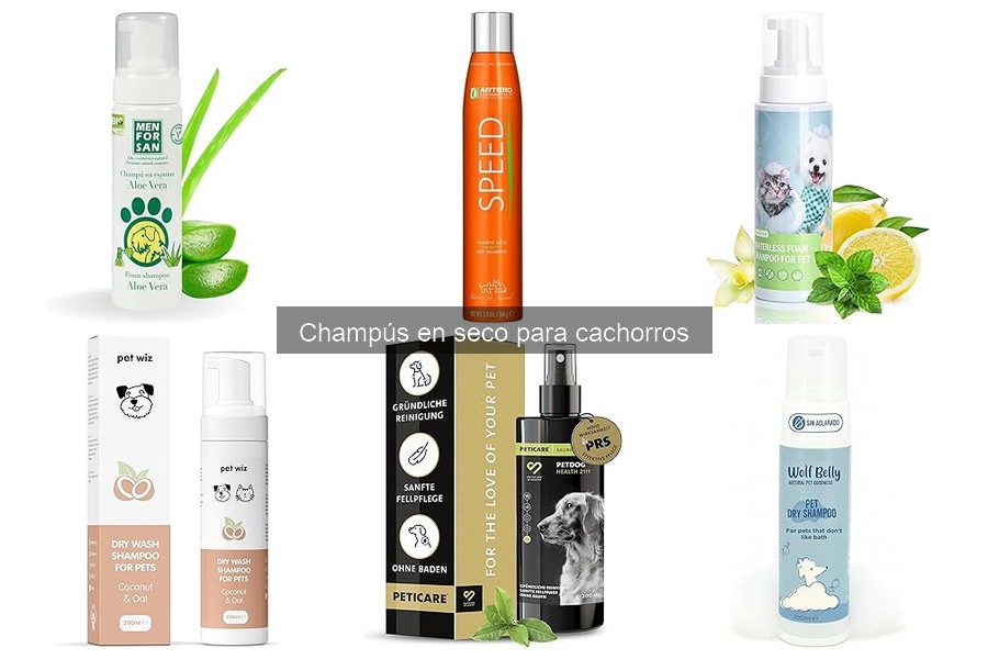 Alternativas al champú en seco para cachorros: Guía completa