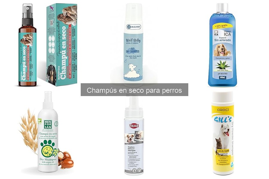 Alternativas al champú en seco para perros: soluciones efectivas