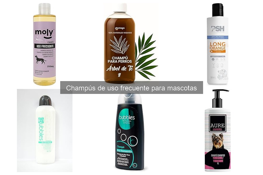 Alternativas al champú tradicional para mascotas