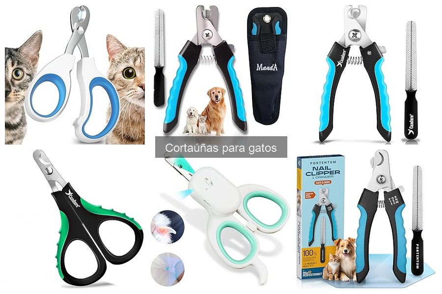 Alternativas al cortaúñas para gatos: 5 opciones efectivas