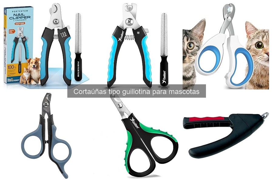 Alternativas al cortaúñas tipo guillotina para mascotas