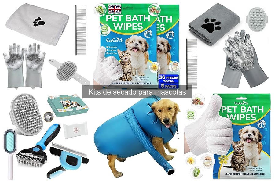 Alternativas al kit de secado para mascotas: opciones útiles