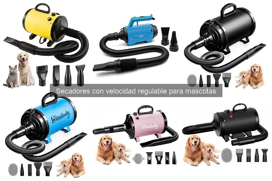 Alternativas al secador con velocidad regulable para mascotas