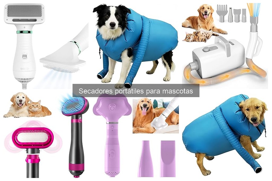 Alternativas al secador portátil para mascotas: ¡Descúbrelas!