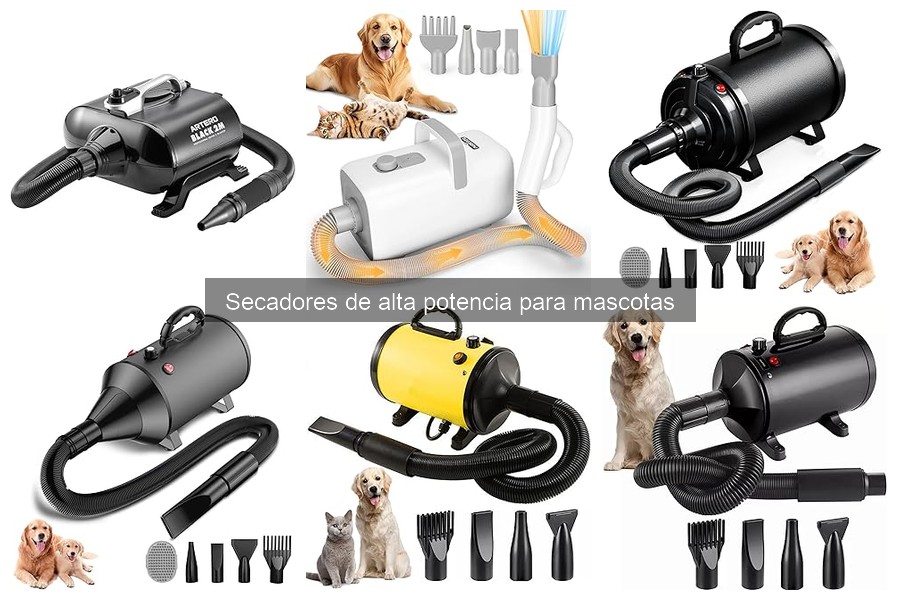 Alternativas Económicas a Secadores de Alta Potencia para Mascotas