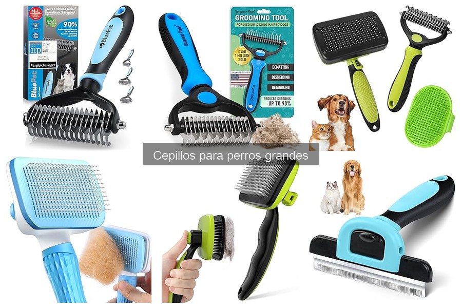 Alternativas efectivas a cepillos para perros grandes