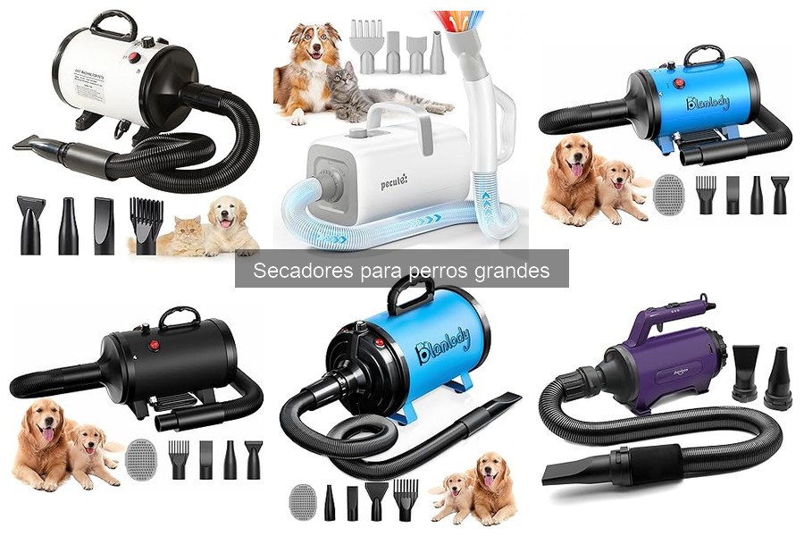 Alternativas Efectivas a Secadores para Perros Grandes