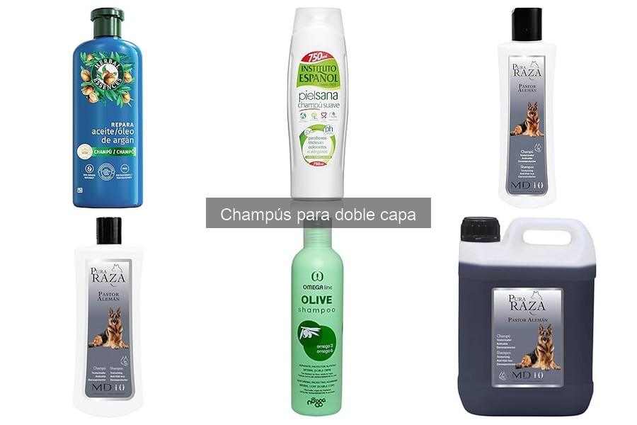 Alternativas naturales a champús para perros de doble capa
