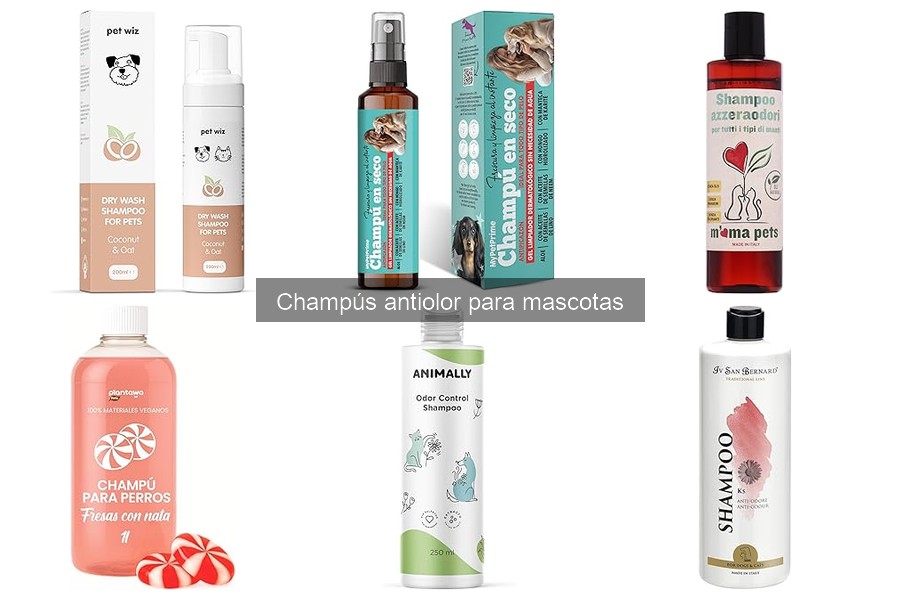 Alternativas naturales a los champús antiolor para mascotas