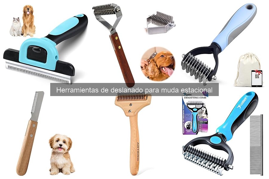 Alternativas Naturales para el Deslanado de Mascotas